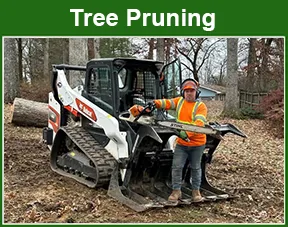 tree pruning