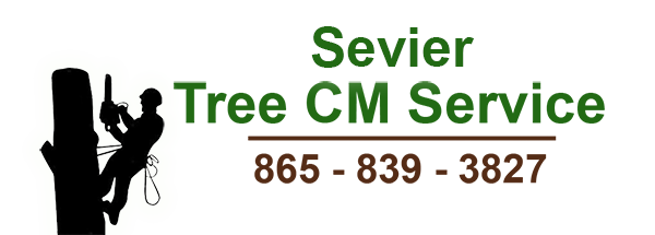 Tree CM Service logo